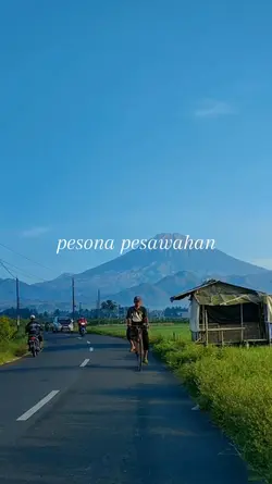 pesawahan desa