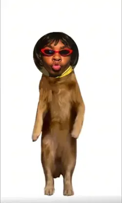dog dancing