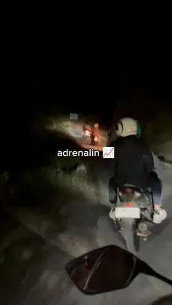 adrenaline 2 vid