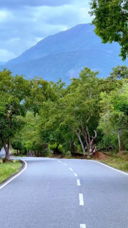 প্রকৃতি ভিডিও /<