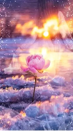 💕Pink Flowers 💕