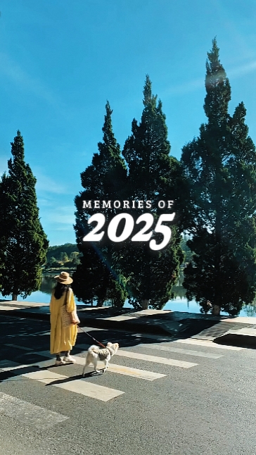 Erinnerungen an 2025