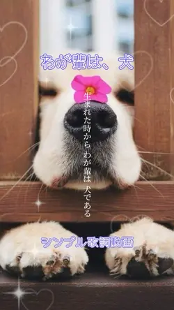 愛犬紹介に🐶わが輩は、犬