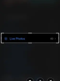 LIVE PHOTOS