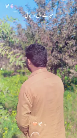میرے دل دا جانی