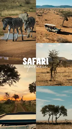 safari experience