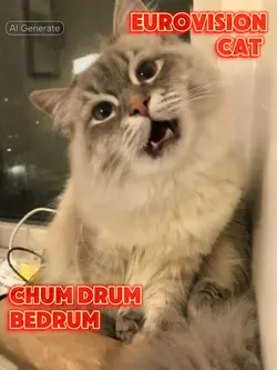 Eurovision Cat