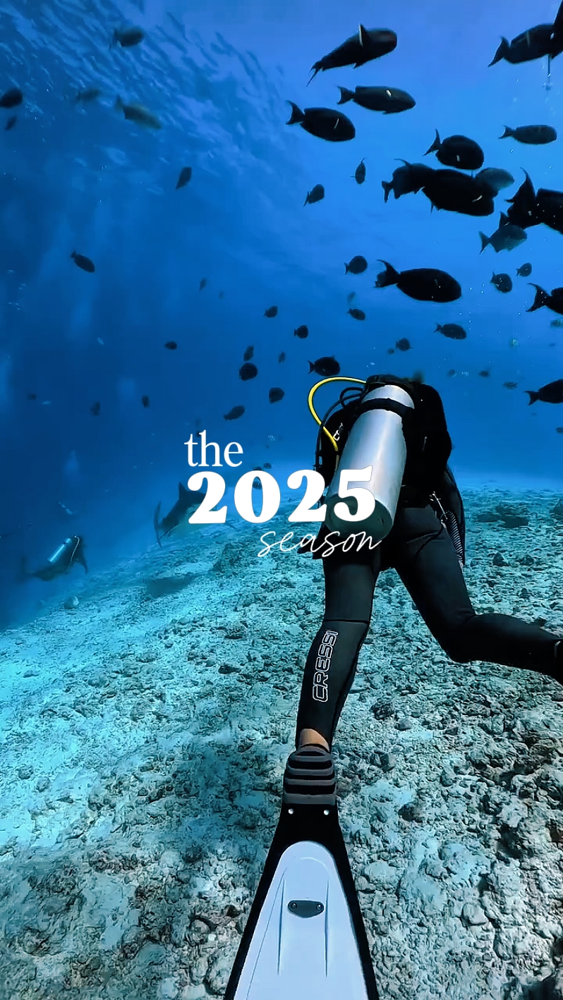 2025 Recap
