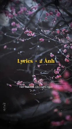 Lyrics + 2 Ảnh