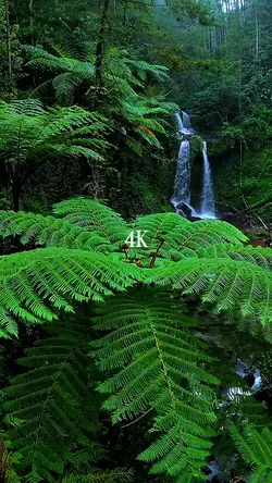 camera 144p VS 4K