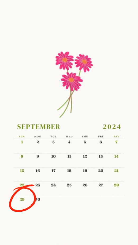 ultah 29sept 2024