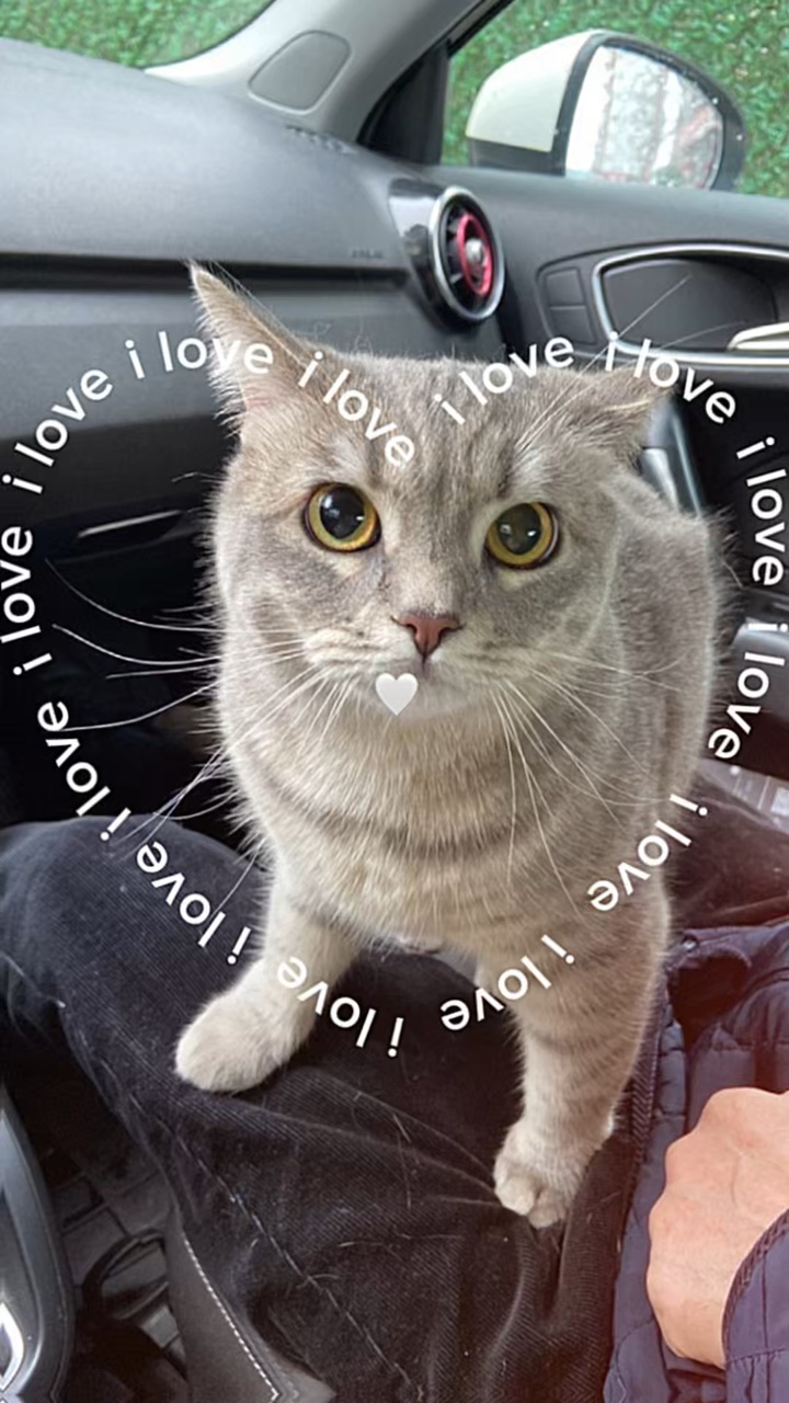 I love