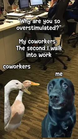 “Why are you so
over