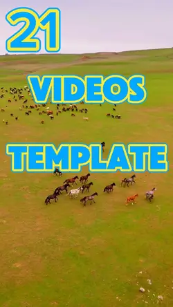 21 Videos Template 