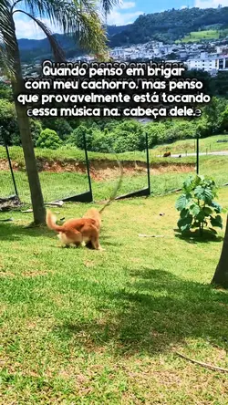 meu doguinho