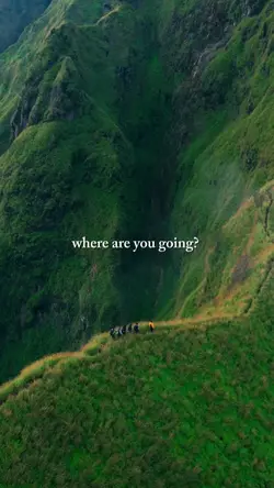 where are you going?