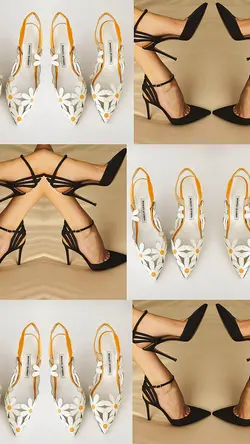transition sales