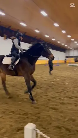 forgot to post this!