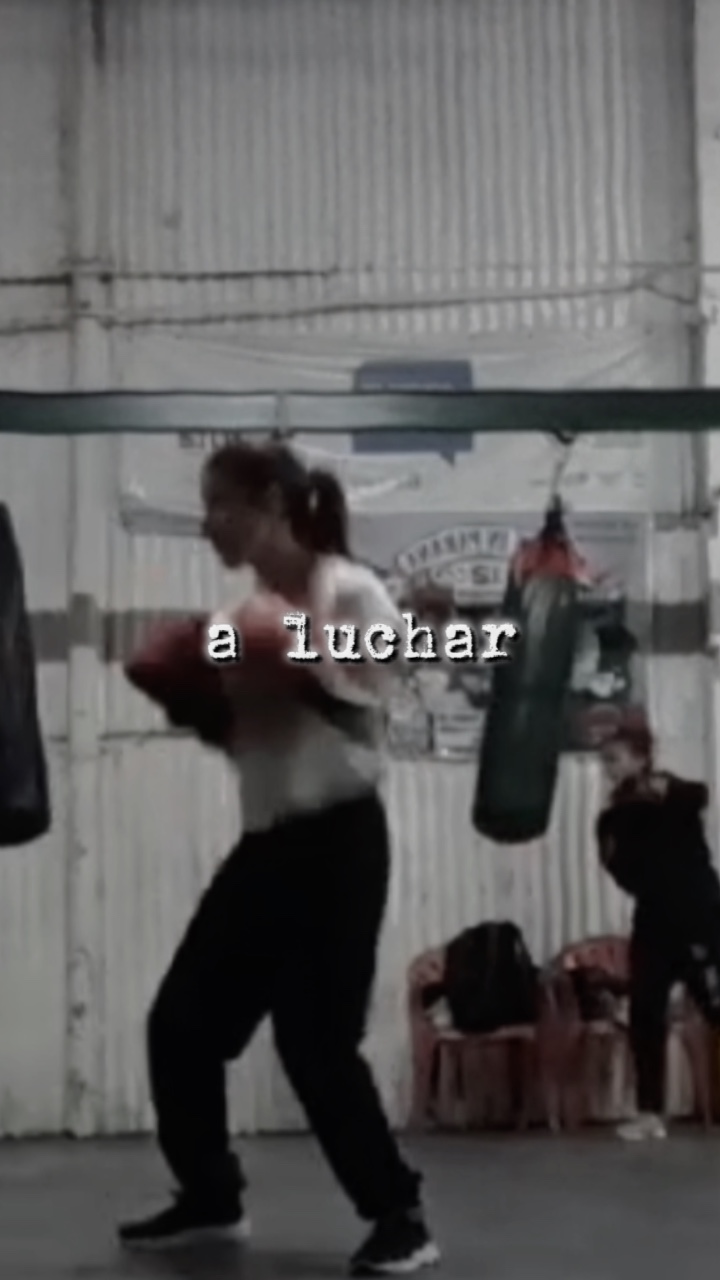 Boxeo
