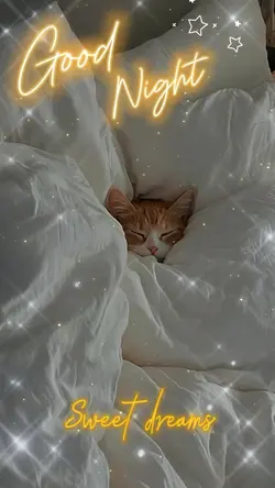 Good Night