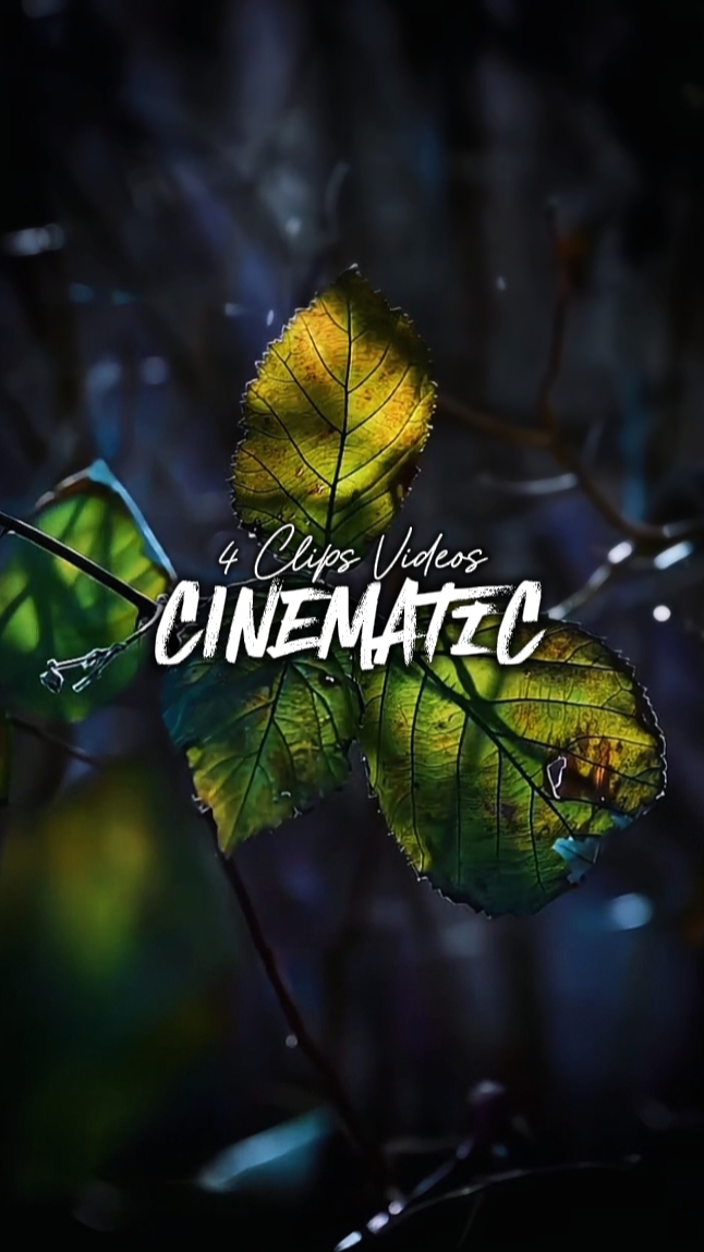 4 Clips Cinematic