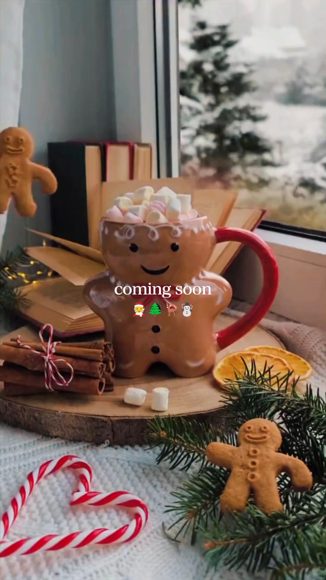 Noël approche