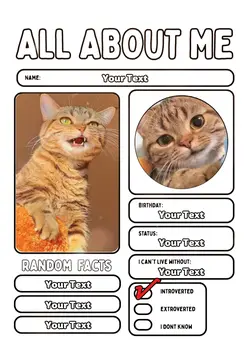 All About Me