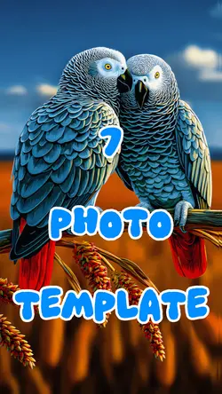 7 Photo Template 