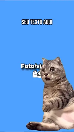 Gato | Cat meme