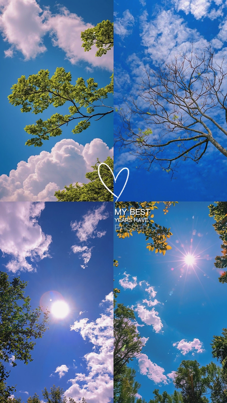 4K 4pics Trend