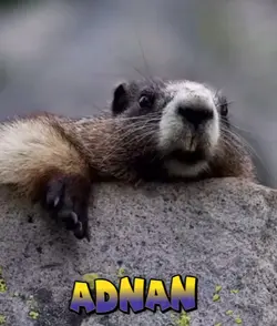 ADNAN