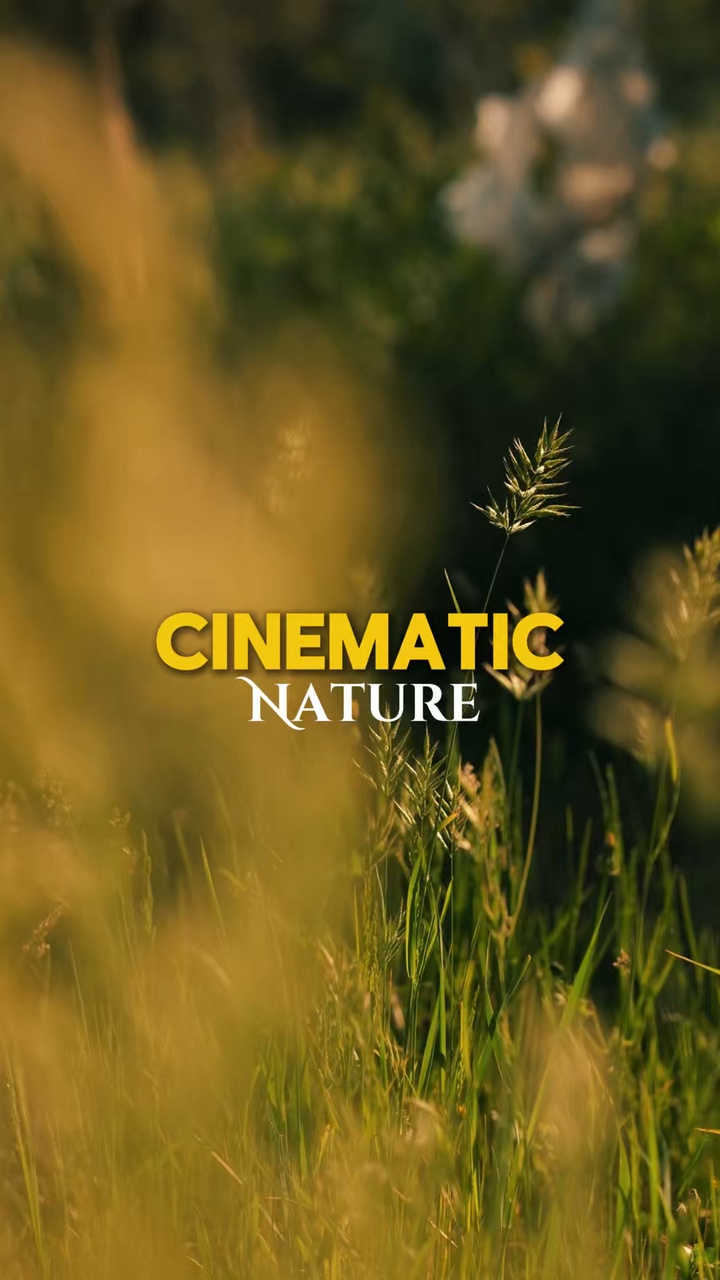 Cinematic Nature