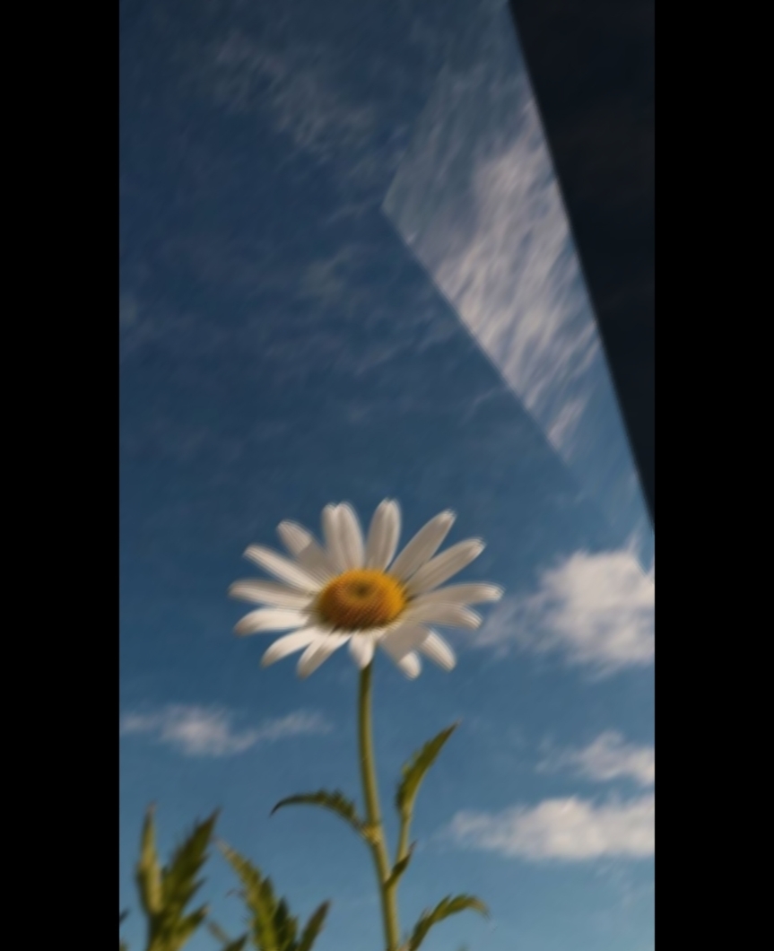4 photos 