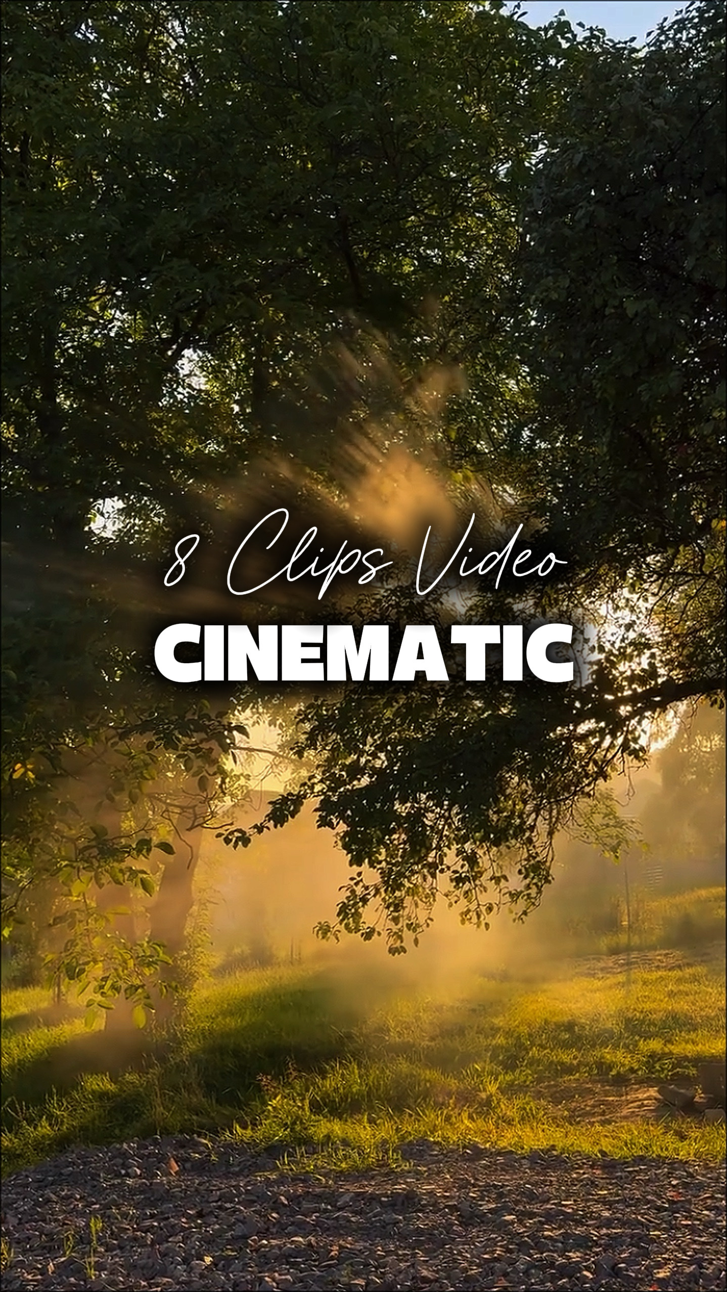 8 CLIPS VIDEO 