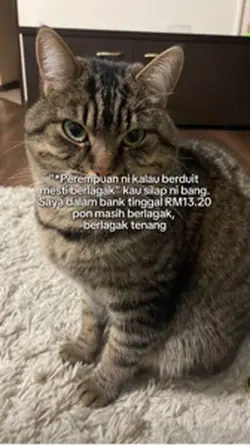 berlagak tenang