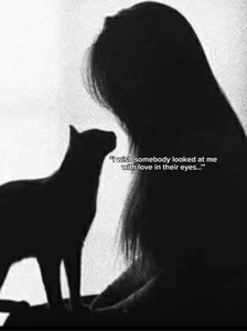 AMOR DE GATITOS 💗💕