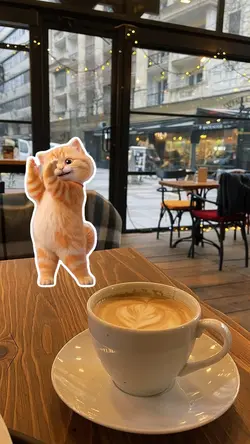 dancingcat