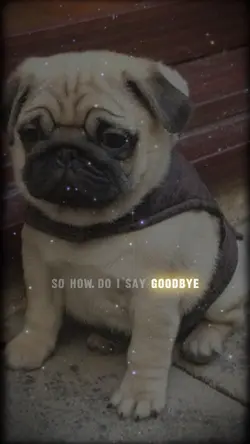 How Do I Say Goodbye