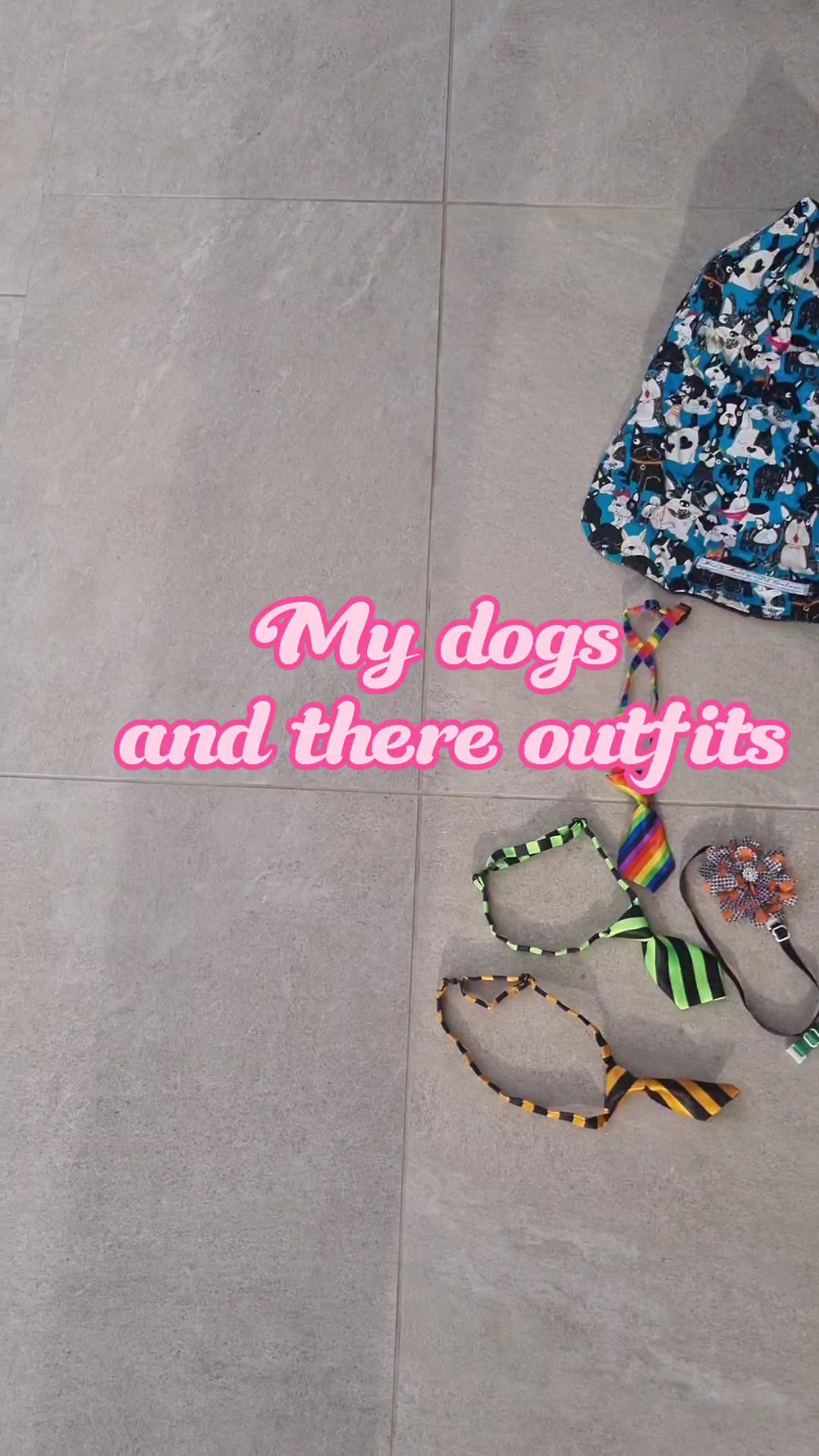 My pups outfits