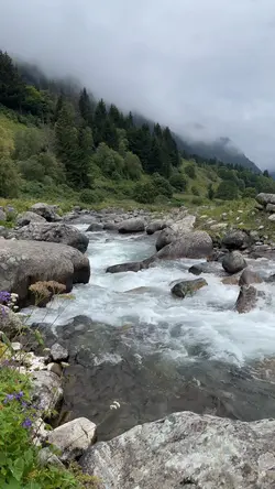 Video Random