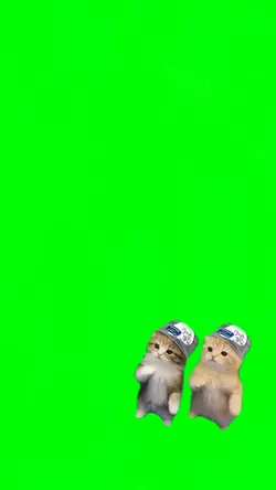 Cat Brazil Dance