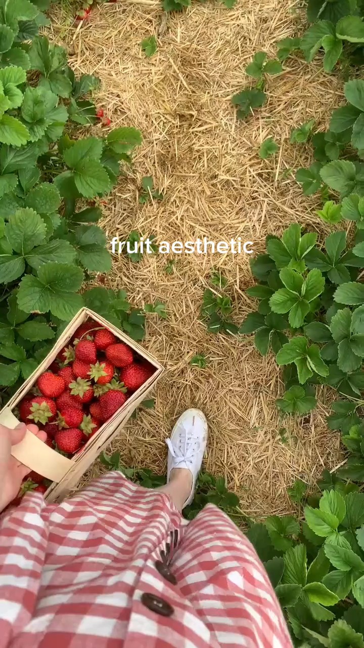 fruit aesthetic