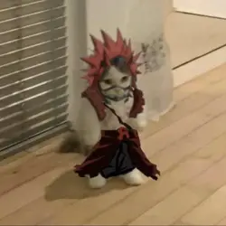 Kirishimaaaa