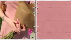 Notebook color