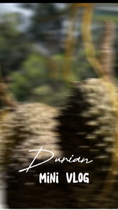 Vlog Mini Durian