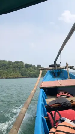 1 video + 5 foto