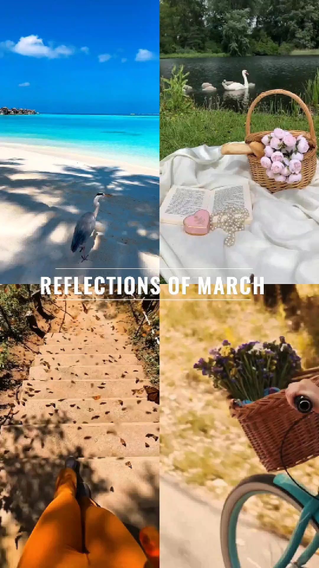 Reflexiones de marzo