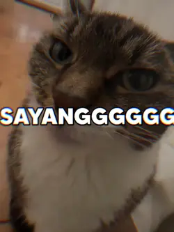 TREND KUCING SAYANGG