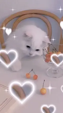 勝手に使ってくだせえ