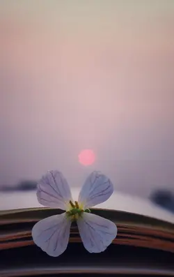 รักไม่ไหวแล้วโว้ย